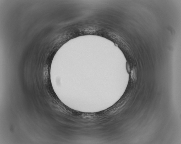 X0000111031299200908061427