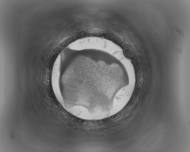 X0000111031301200908061427