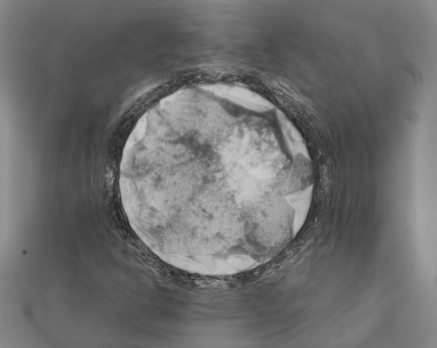 X0000111031302200908061427