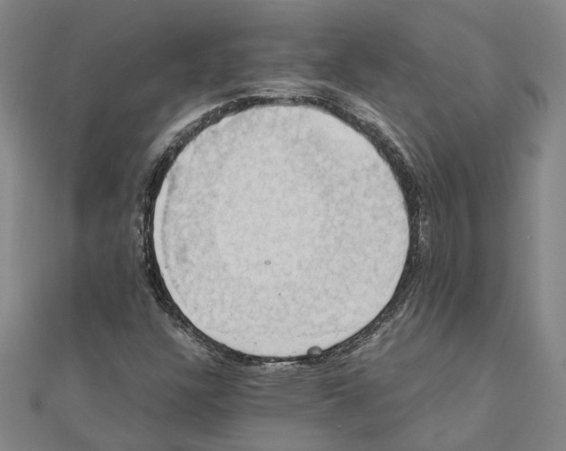 X0000111031304200908061427