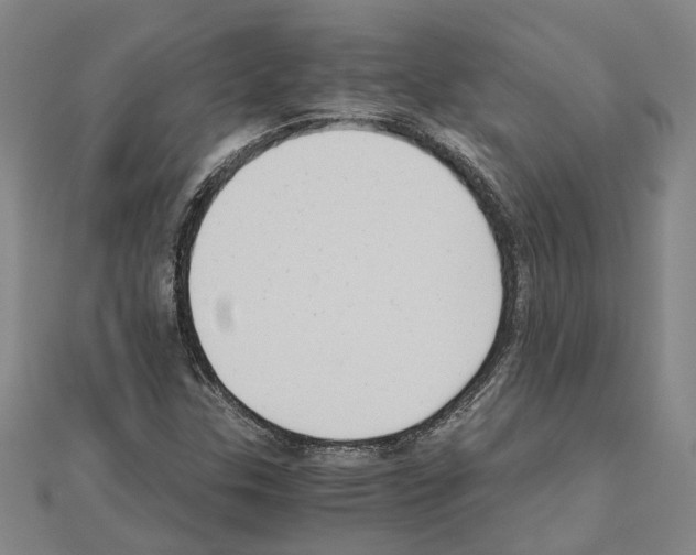 X0000111031307200908061427