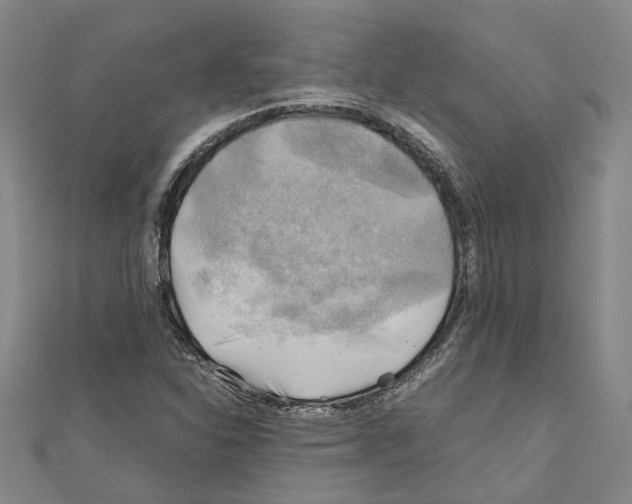 X0000111031310200908061427