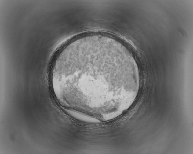 X0000111031311200908061427