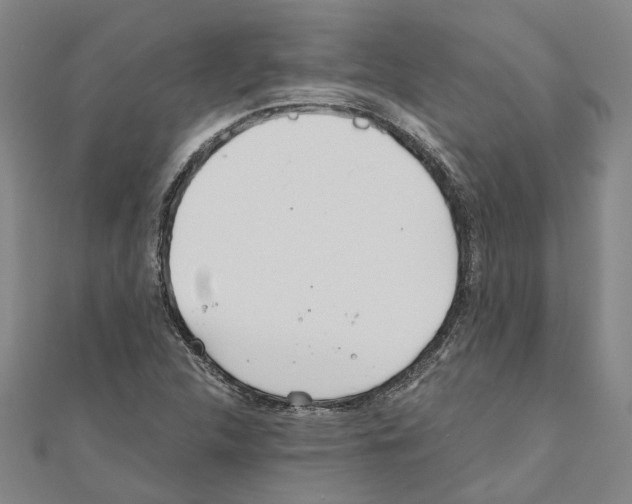 X0000111031312200908061427