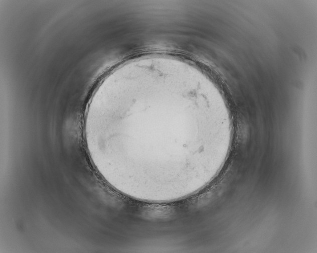 X0000111031314200908061427