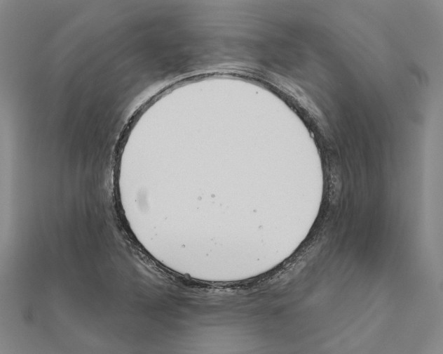 X0000111031316200908061427