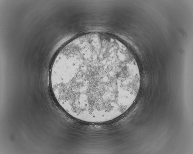 X0000111031317200908061427