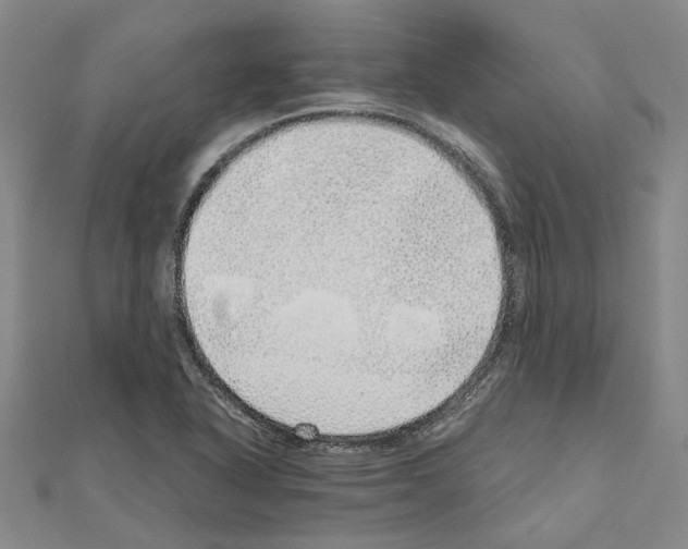 X0000111031318200908061427