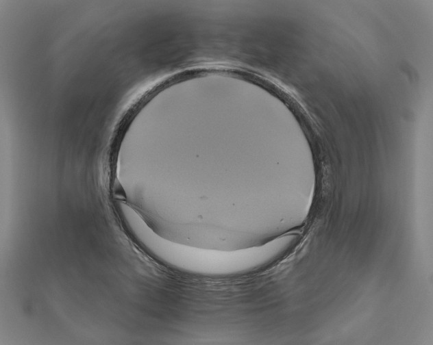 X0000111031319200908061427