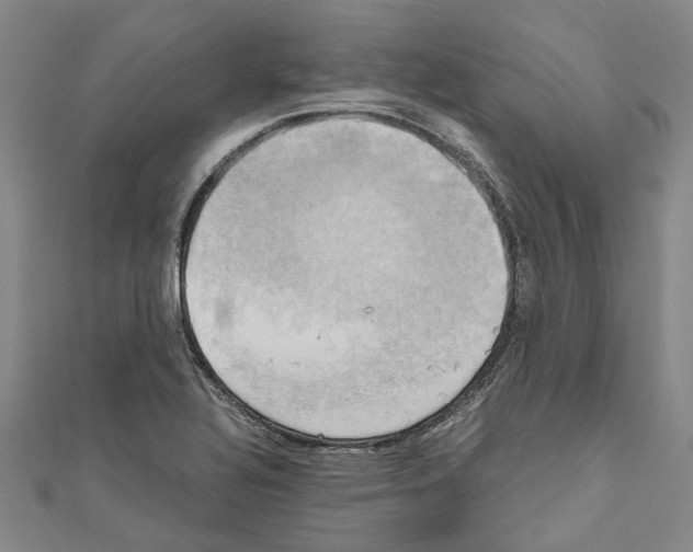 X0000111031320200908061427