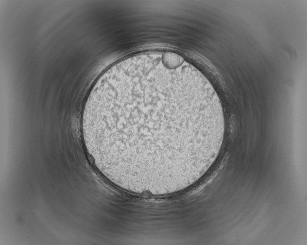 X0000111031321200908061427