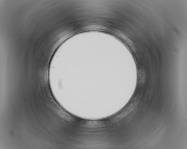 X0000111031322200908061427