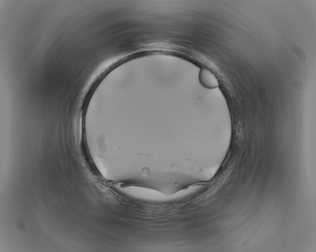 X0000111031323200908061427