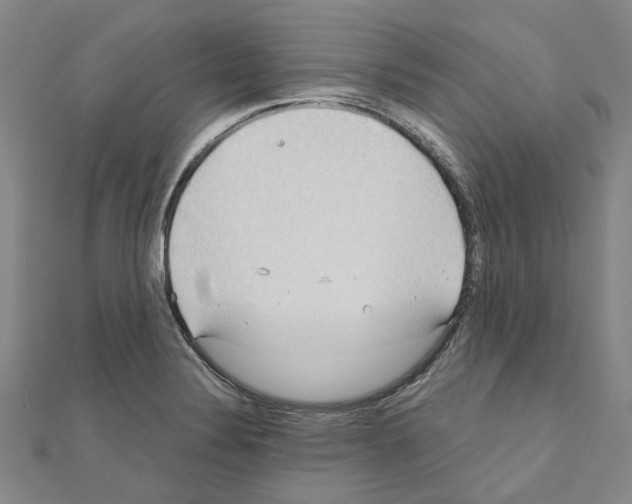 X0000111031324200908061427