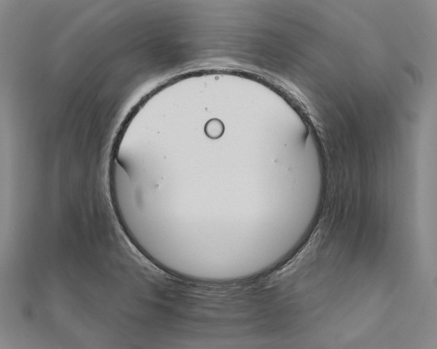 X0000111031326200908061427