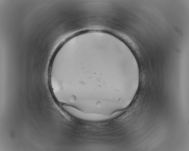 X0000111031327200908061427