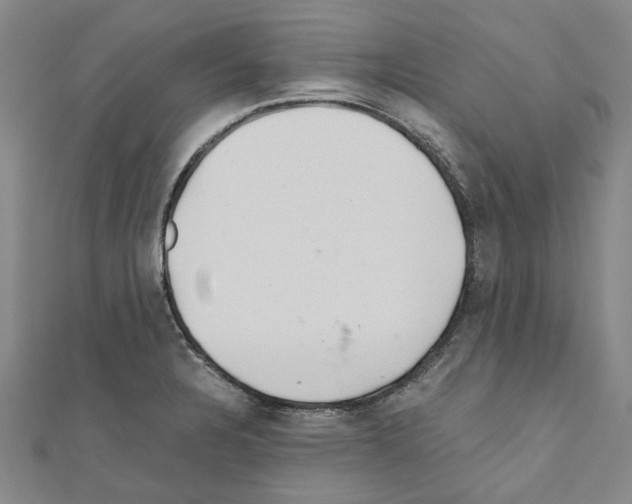 X0000111031328200908061427