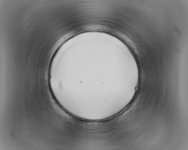 X0000111031330200908061427