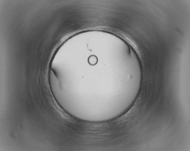 X0000111031332200908061427