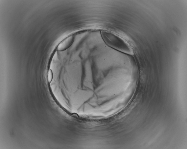 X0000111031334200908061427