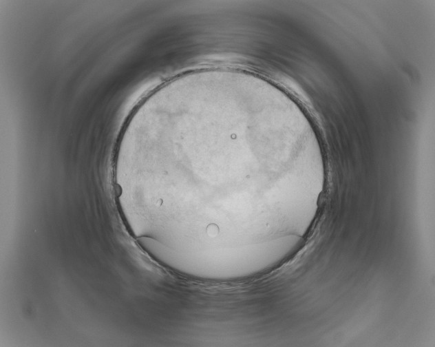 X0000111031336200908061427