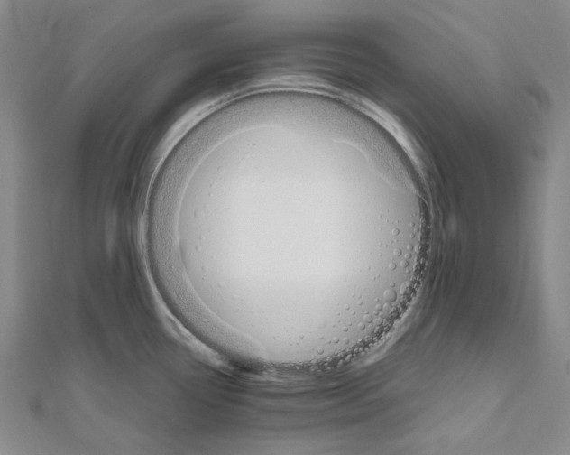 X0000111031338200908061427