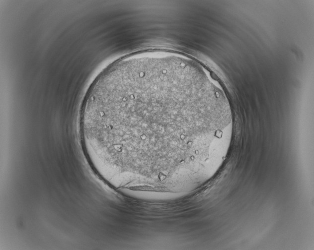 X0000111031339200908061427