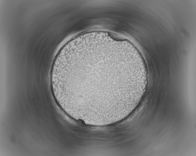 X0000111031341200908061427