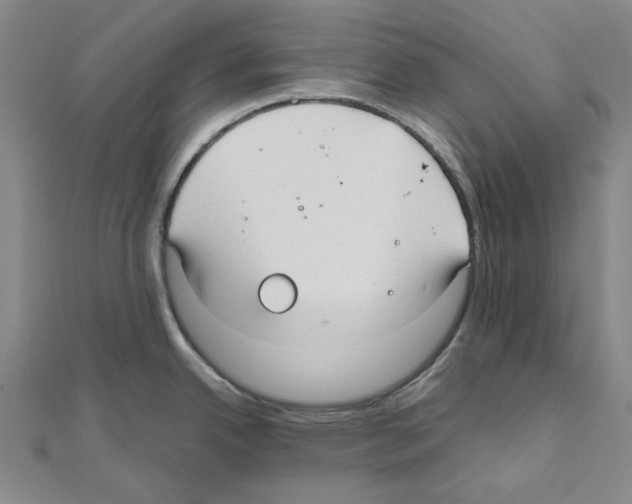 X0000111031342200908061427