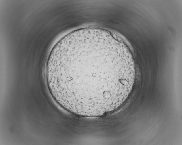 X0000111031343200908061427