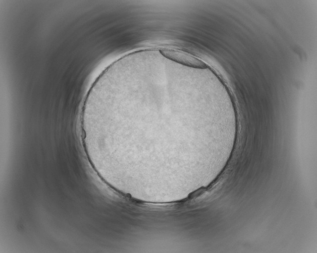 X0000111031344200908061427