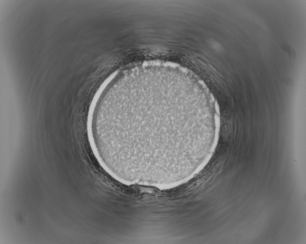 X0000111031345200908061427