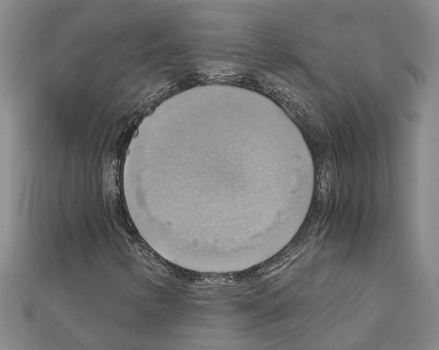 X0000111031346200908061427