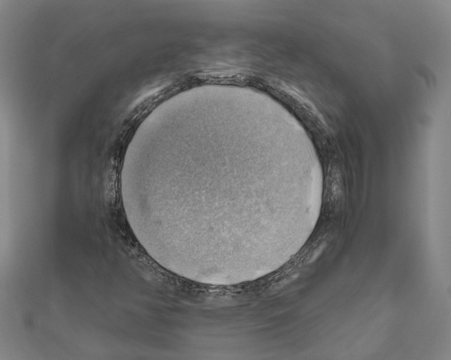 X0000111031350200908061427