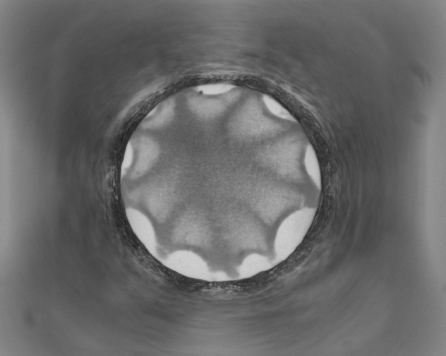 X0000111031351200908061427