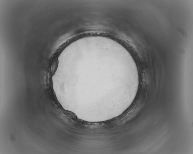 X0000111031352200908061427