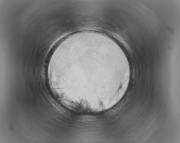 X0000111031356200908061427