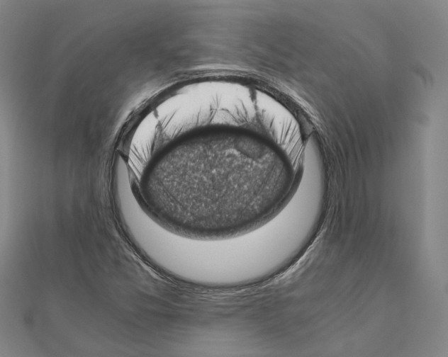 X0000111031357200908061427