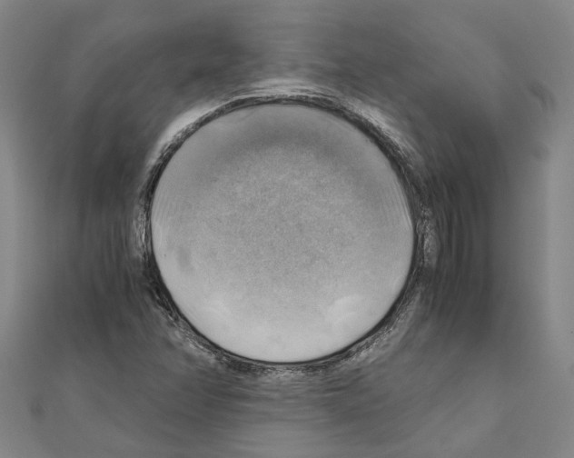 X0000111031358200908061427