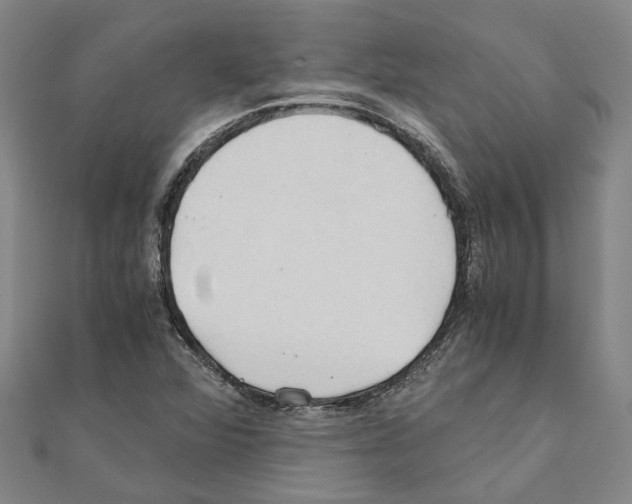 X0000111031360200908061427