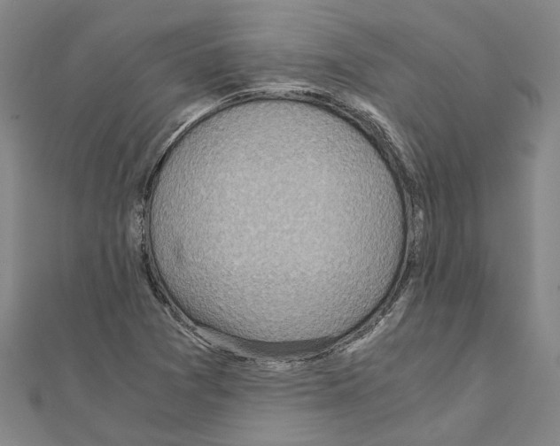 X0000111031361200908061427