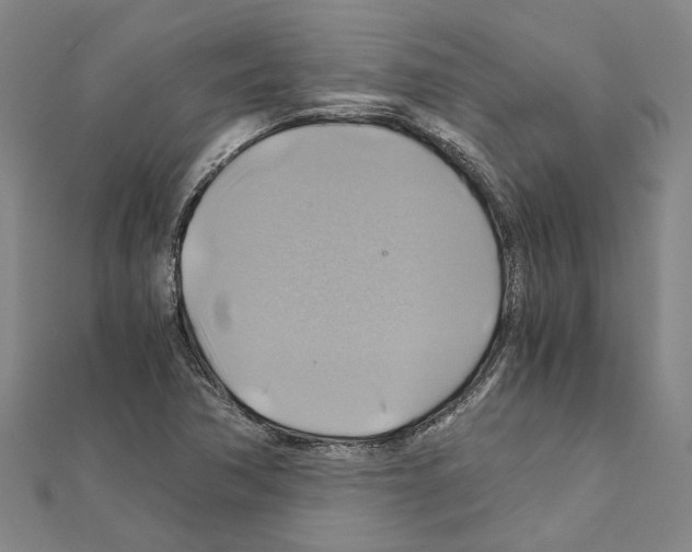 X0000111031362200908061427