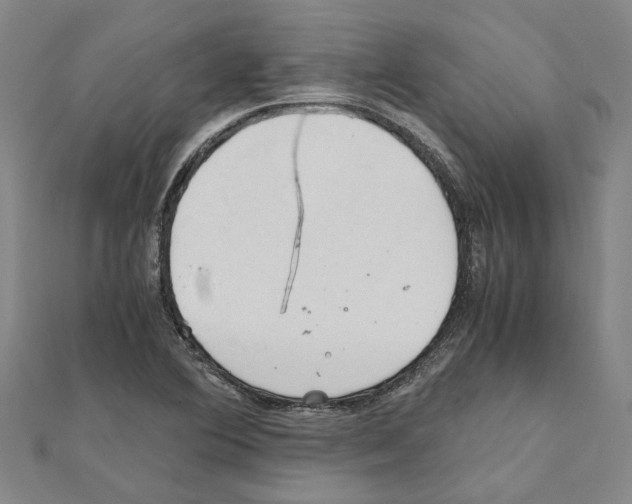 X0000111031364200908061427