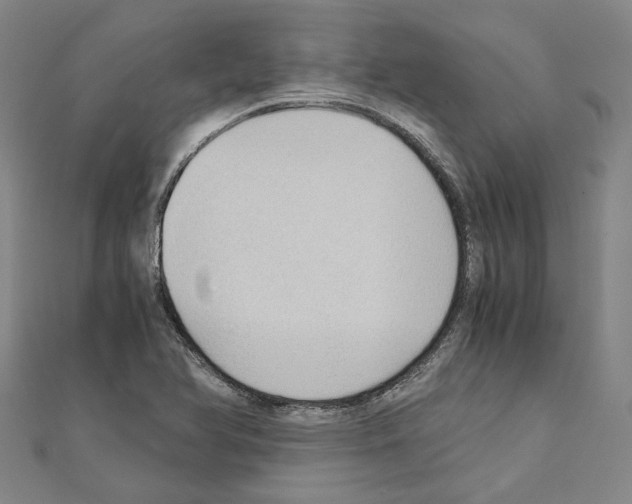 X0000111031366200908061427