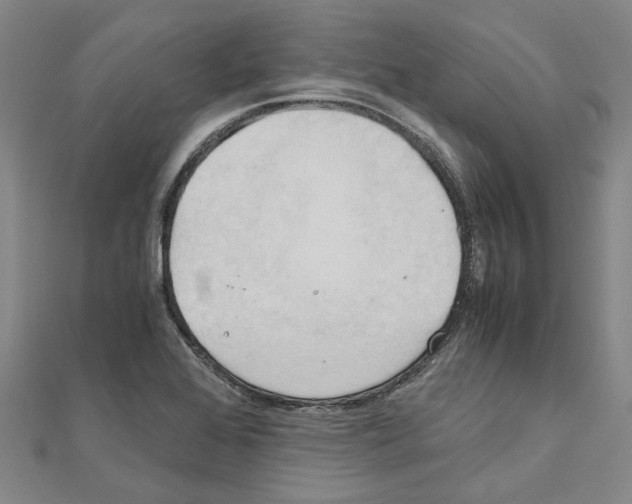 X0000111031368200908061427