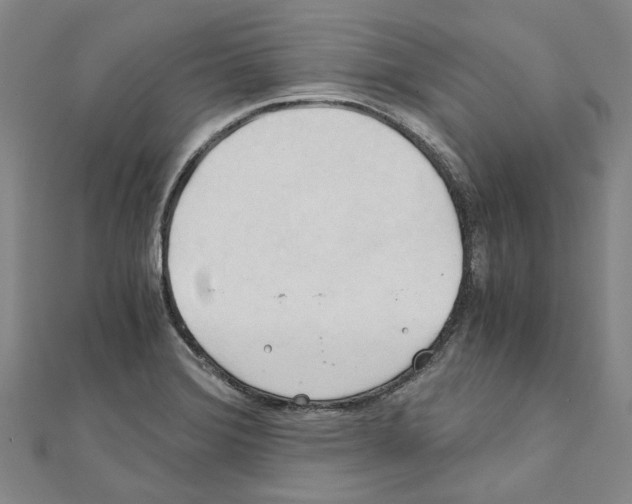 X0000111031372200908061426