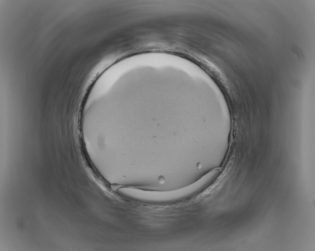 X0000111031373200908061426