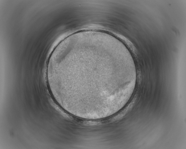 X0000111031374200908061426