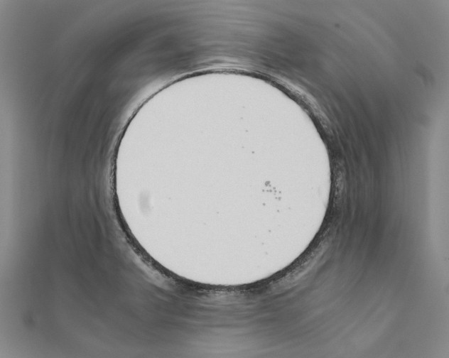 X0000111031375200908061426