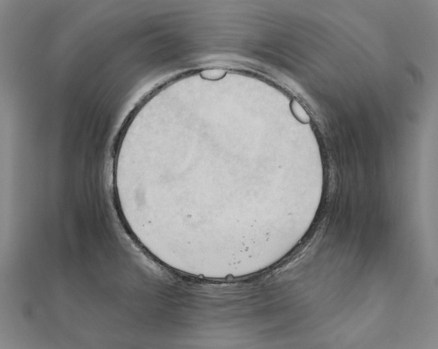 X0000111031376200908061426